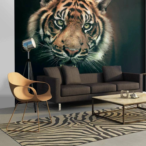  tapeta - Bengal Tiger 200x154