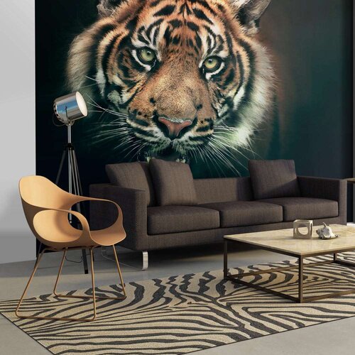  Tapeta - Bengal Tiger 200x154 Slike