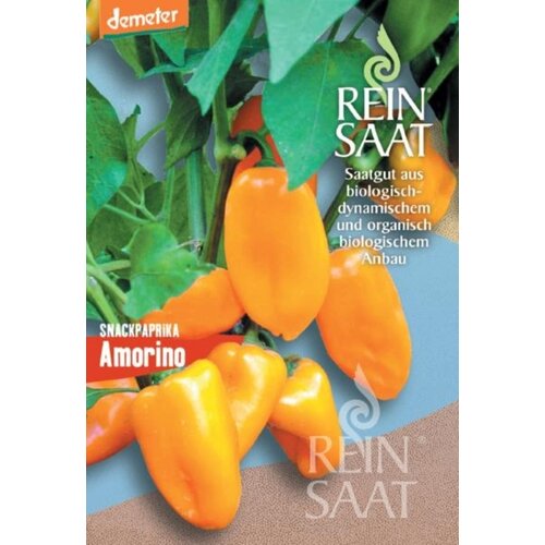  Paprika "Amorino" - 1 pkt. Cene