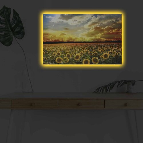 Wallity Zidna slika sa LED osvetljenjem 4570DHDACT-088, 45x70 cm Cene