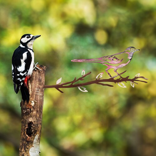 Atelier Del Sofa dekorativna figura bird on the branch 25, 20x50 cm, 1.5 mm, bronzane boje Slike
