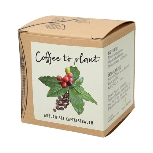 naturkraftwerk Set za gojenje Coffee to plant - kavni grm Cene