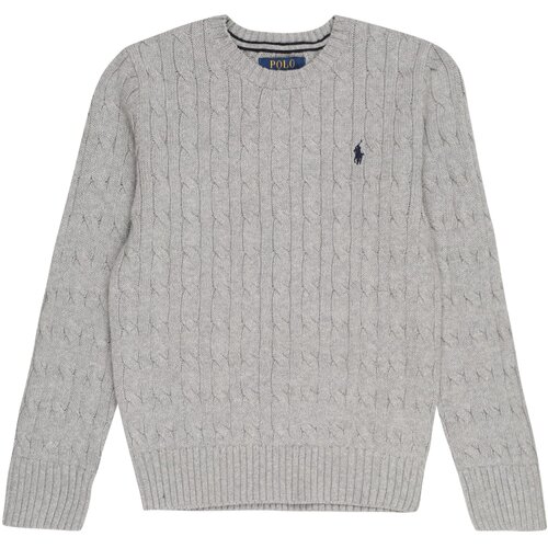 Polo Ralph Lauren Pulover mornarsko plava / siva Slike