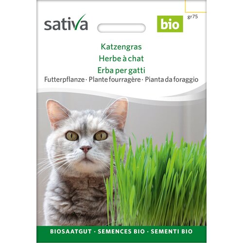 BIO mačja trava - 50 g Cene