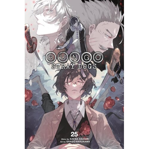 Hachette Kafka Asagiri - Bungo Stray Dogs, Vol. 25 Slike