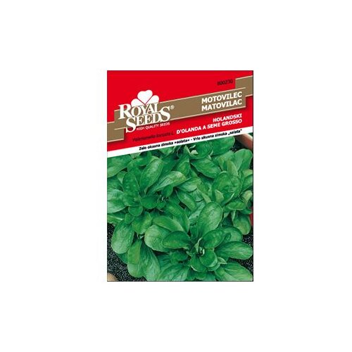  Matovilac Holandski Royal Seeds Cijene