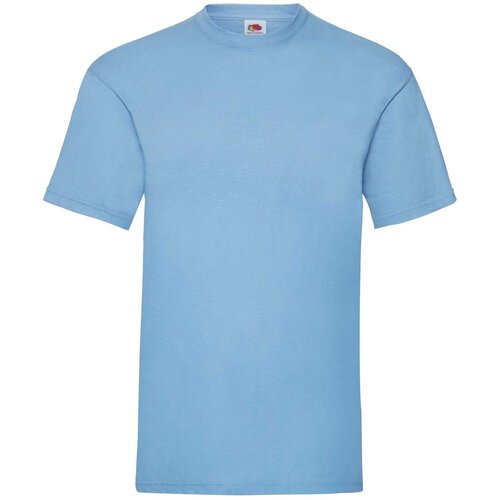 Fruit Of The Loom Men's Blue T-shirt Valueweight Cene