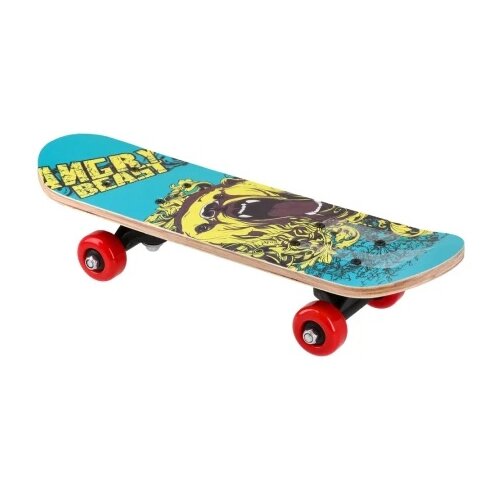 Ozzo Outdoor, skejtbord, medved Cene
