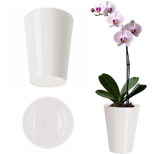 KADAX Cvetlični lonec za orhideje Plastični cvetlični lonec Bel, enobarvni 13 cm, (5000346077) Cene