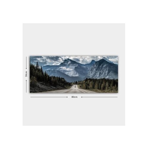 Opviq slika na platnu 30x80cm Cene