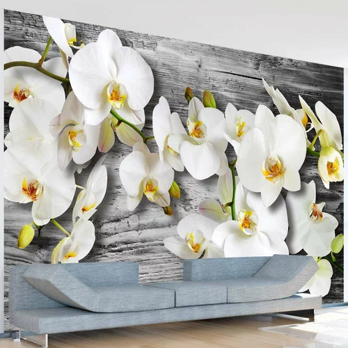  tapeta - Callous orchids III 350x245