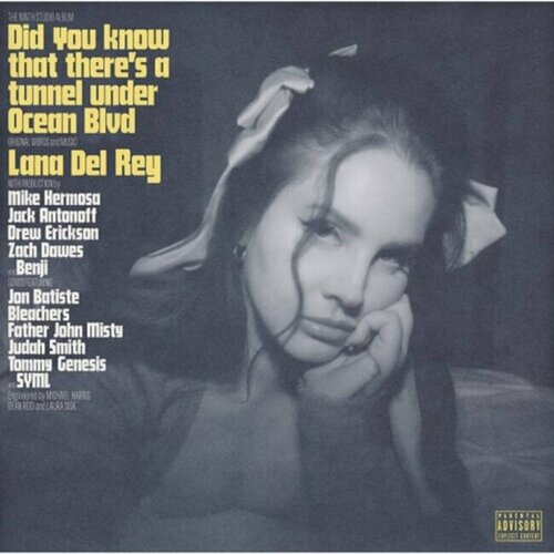 Lana Del Rey LANA DEL REY - DID YOU KNOW.. -GATEFOLD- Cene