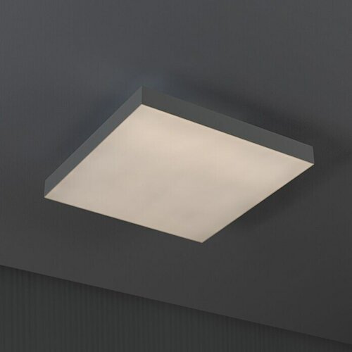PAULMANN LED panel Velora Rainbow (16 W, Do x Š x V: 29,5 x 29,5 x 6,4 cm, Bele barve, RGBW) Cene