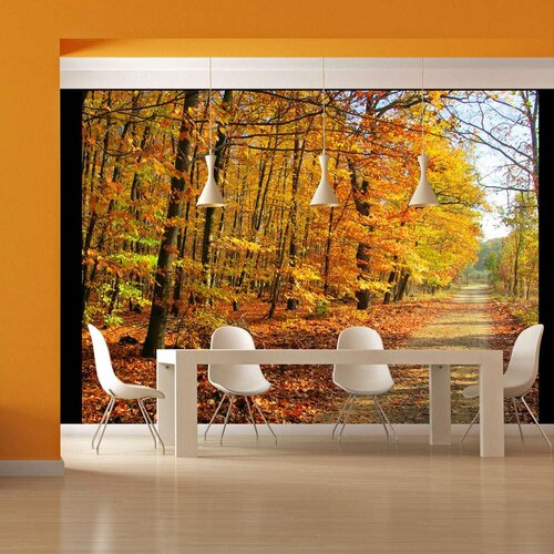  Tapeta - Beech forest 350x270 Slike