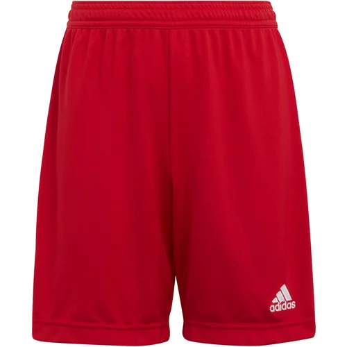 Adidas Športne hlače 'Entrada22' ognjeno rdeča / bela
