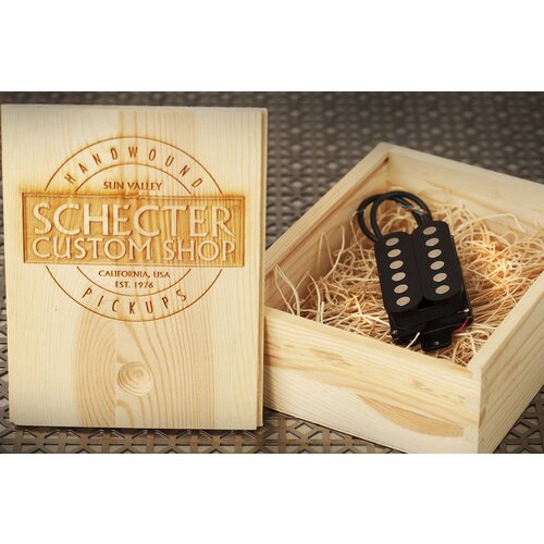 Schecter San Andreas bridge Slike