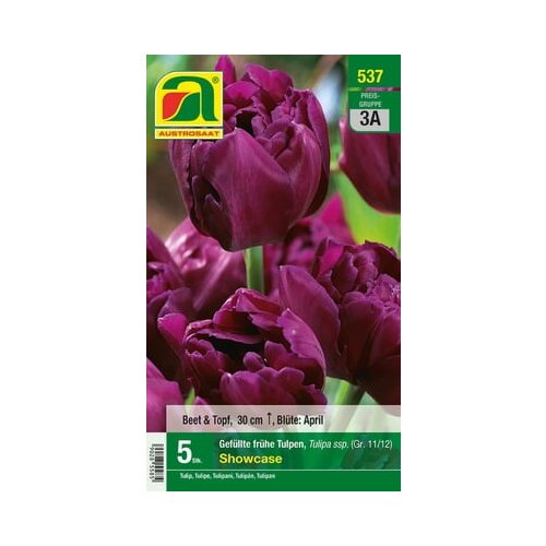 AUSTROSAAT Polni tulipani "Showcase" Cene