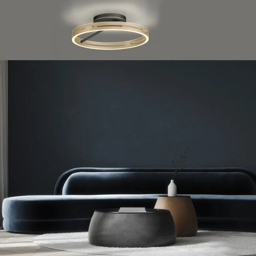  led plafonska svetiljka pure loop bronzana cct dimabilna paul neuhaus Cene