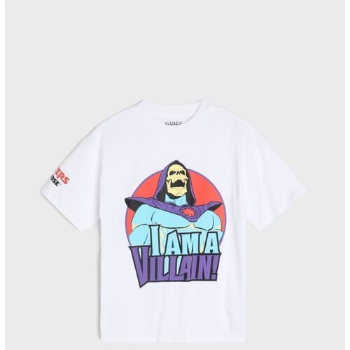 Sinsay Pamučna oversize majica s printom Masters of the Universe Cijene