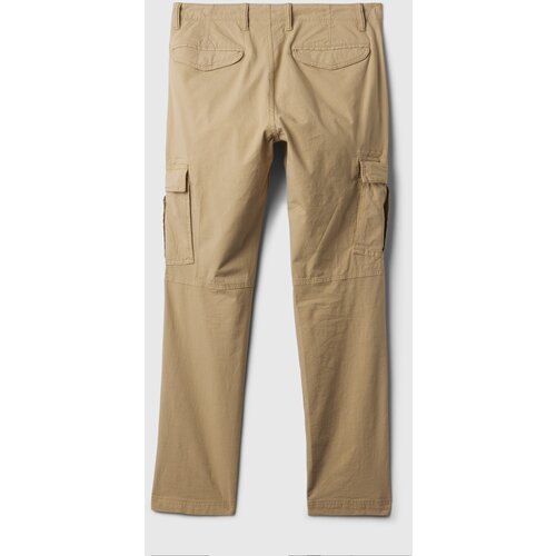 GAP Cargo Flex Pants - Men's Cene