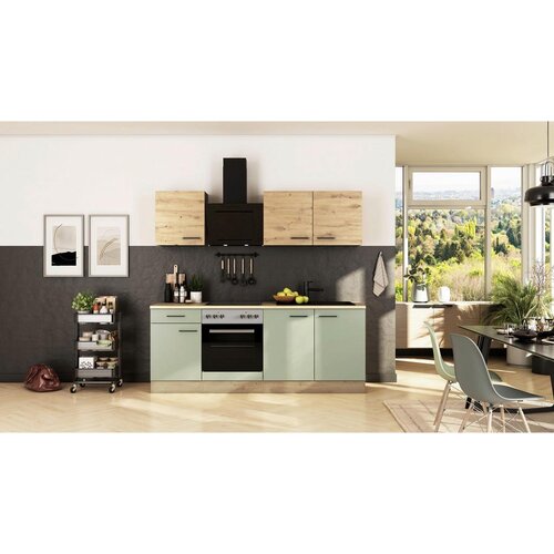 Flex-Well Kuhinjski Blok Z Aparati Cara, Zelena, Barva Hrasta Cene