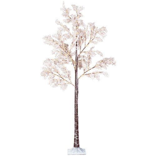  OKRASNA LED-SVETILKA Cene