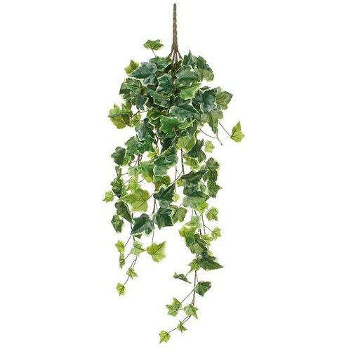  Umjetna biljka Bršljan viseći (Visina: 71 cm, Zelene boje, Plastika) Cijene