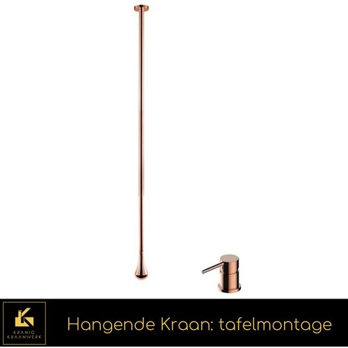 Kranig Kraanwerk Viseči žerjav | Stropna pipa | Kontrole na pohištvu | Dolg padec, (21731973) Cene