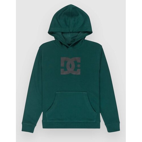DC Star Kids Pulover s kapuco ponderosa pine Cene