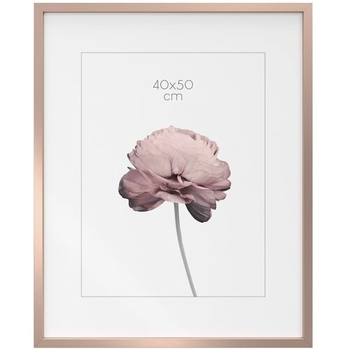 Styler Okvir 42x52 cm Prague - Cijene