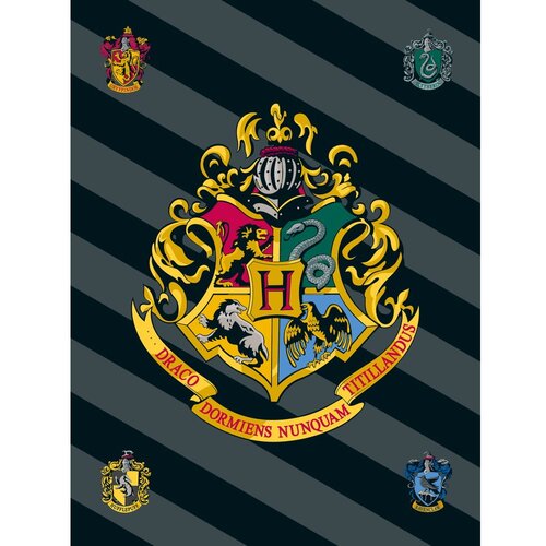 Jerry Fabrics Otroška odeja iz flisa 100x150 cm Harry Potter – Cene