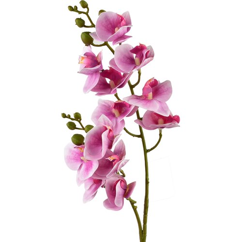 Mondex umetna roža plastika Viridis Storczyk 65cm 1kos, (5000305461) Slike
