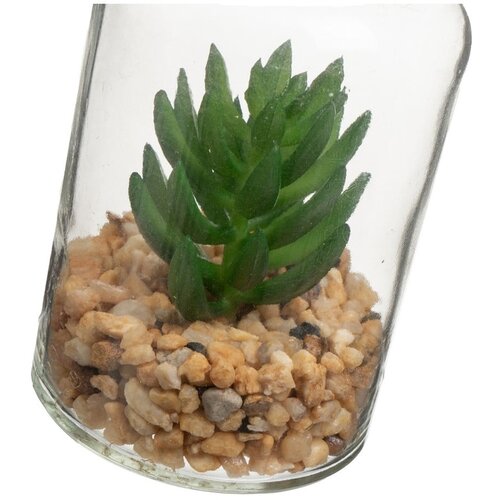 Casa Selecci&amp;oacute;n Umetne rastline v kompletu 4 ks (vi&amp;scaron;ina 12 cm) Cactus &amp;ndash; Slike