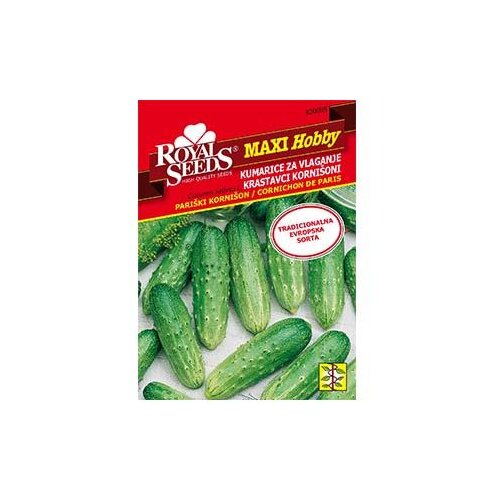  Krastavac Kornišon Maxi Royal Seeds Cene