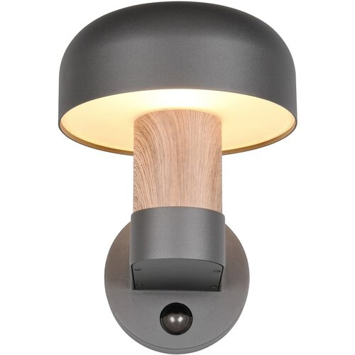  Zidna vanjska svjetiljka (visina 24,5 cm) Fraser &amp;ndash; Slike