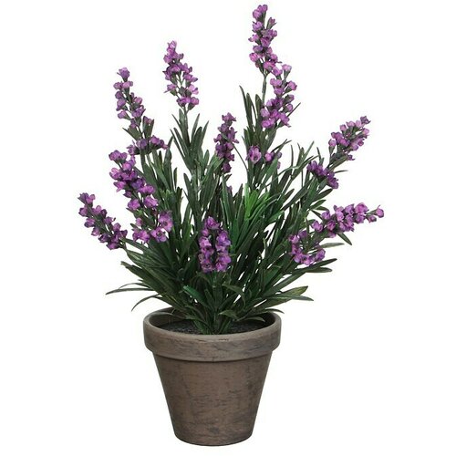  Umjetna biljka Lavanda (Visina: 33 cm, Ljubičasta, Plastika) Slike