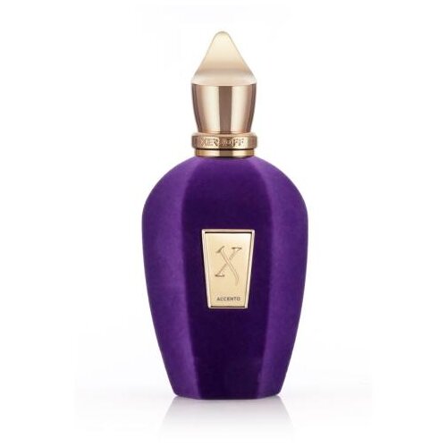 Xerjoff V Collection Accento 100 ml parfemska voda tester unisex Slike