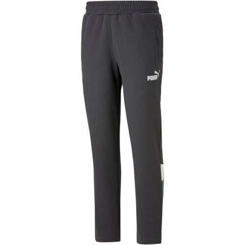 Puma Hlače 216269 Siva Cene