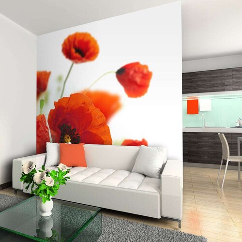  Tapeta - Poppies on the wihite background 350x270 Slike