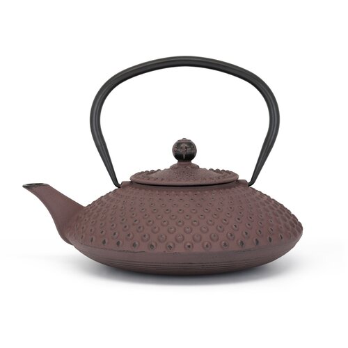Bredemeijer teekanne xilin 1,25l gusseisen aubergine 153091 Cijene