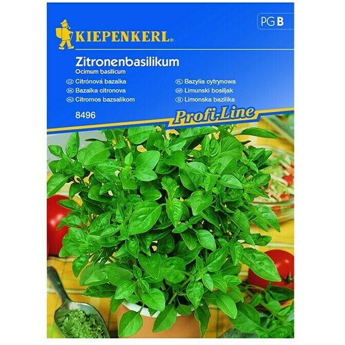 KIEPENKERL Profi-Line Zeli&scaron;čna semena limonske bazilike (Ocimum basilicum, Čas setve: Februar, Čas žetve: Junij) Cene