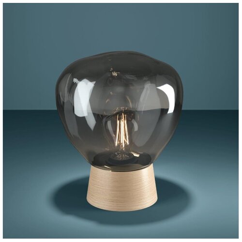 Eglo 390321 - Stona lampa MAGACELA 1xE27/40W/230V dimna Cene