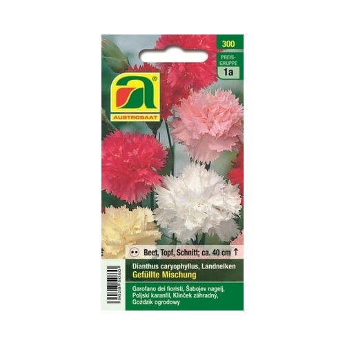 AUSTROSAAT Vrtni nagelj "Dianthus caryophyllus" mešanica Cene