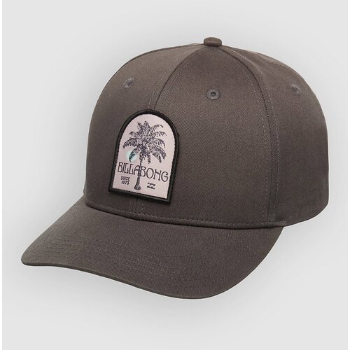 Billabong Patch Snapback Kapa s &amp;scaron;iltom pewter Slike