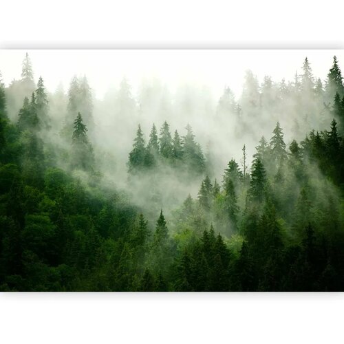  Foto tapeta - Mountain Forest (Green) 450x315 Premium Cene