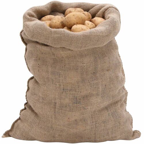  Jutene vreće 10 kom 60x105 cm 100 % juta 220 g/m&amp;sup2; Slike