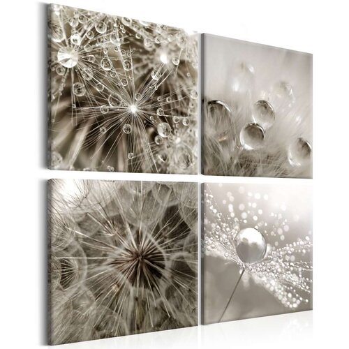  Slika - Grey Dandelion 80x80 Slike