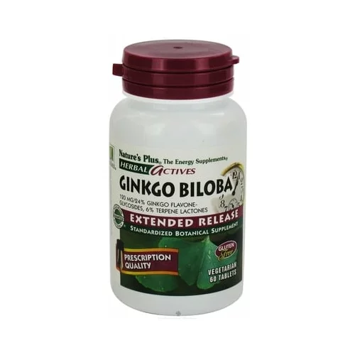 Herbal aktiv ginkgo Biloba Tablete