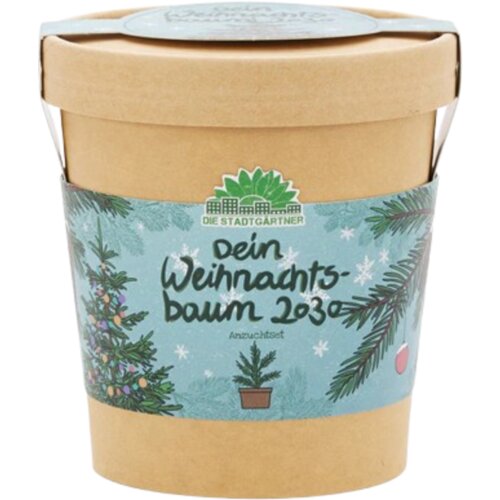  Božično drevo iz lončka - 1 k. Cene