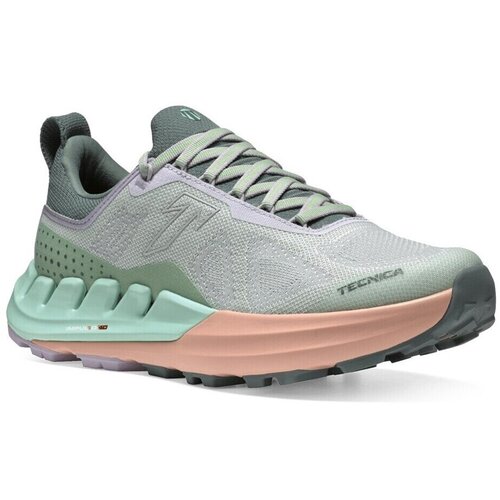 Tecnica Nizki čevlji Pyrox Xplore pisana Cene